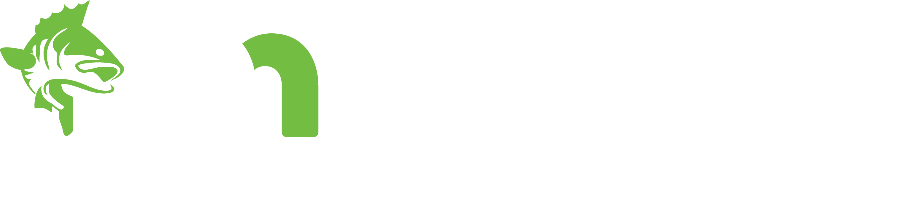 Minnesota Governor’s Fishing Opener